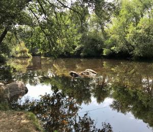 Cerca de 5M€ para mejorar los ecosistemas fluviales y el dominio público hidráulico